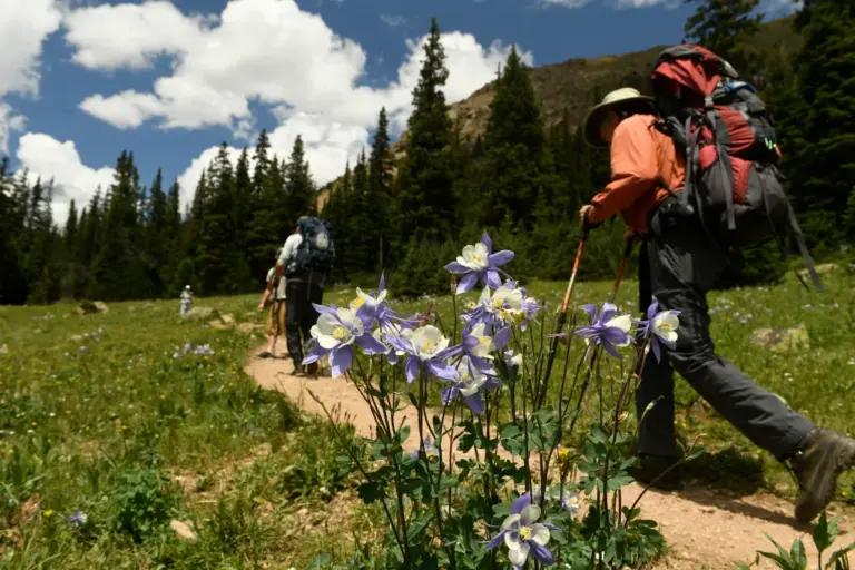 Colorado’s 10 most popular hikes, according to AllTrails