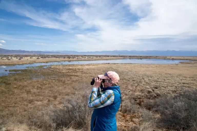 How sports betting became Colorado’s ticket to funding $140 million in water conservation projects