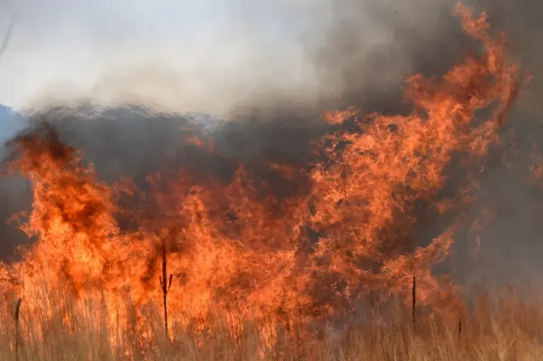 Colorado wildfires: Evacuations partially lifted for Bear fire near Trinidad