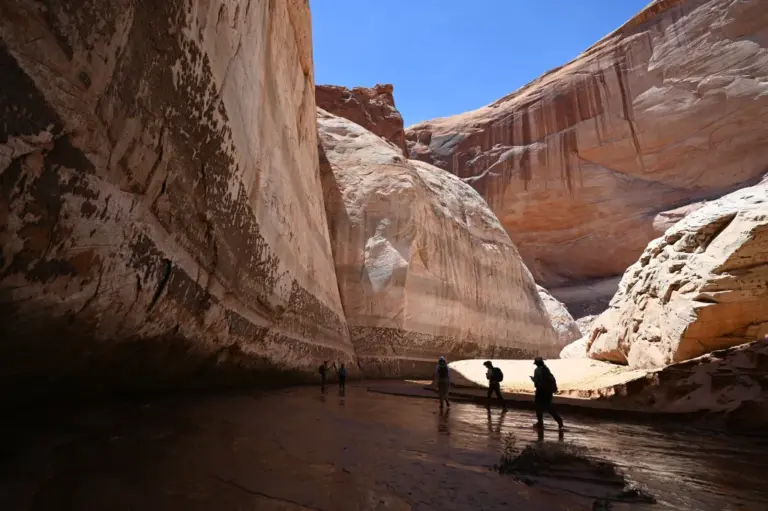 Once underwater, Colorado River canyon country reemerges as drought-stricken Lake Powell’s levels drop