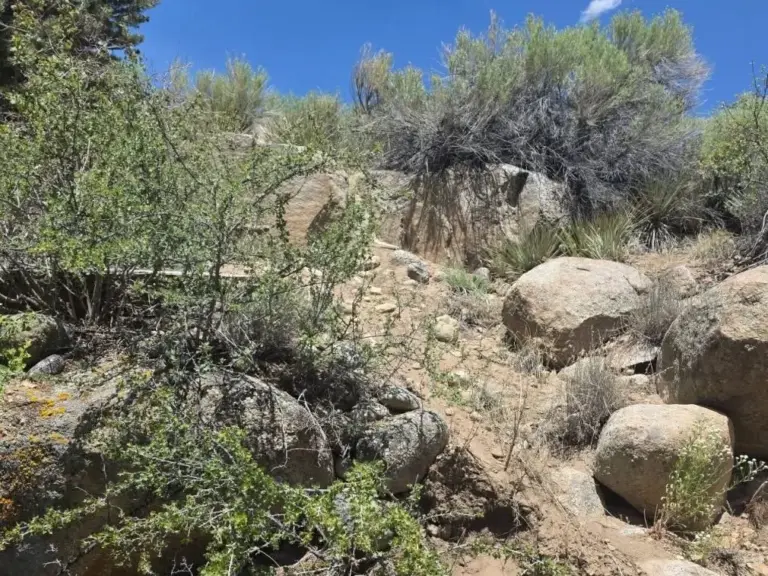 Half-ton boulder crushes man on Colorado mountain trail
