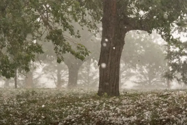 Colorado weather: Forecasters warn of damaging hail in Douglas, Weld counties