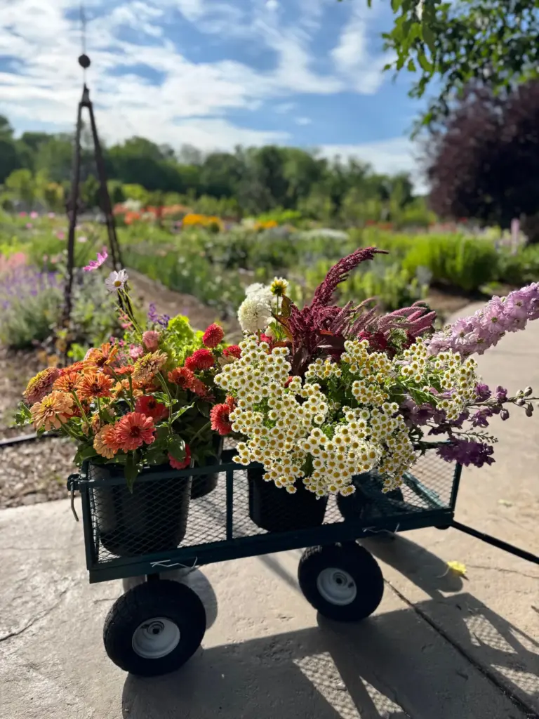 The Grove is a garden center, restaurant, and events center...