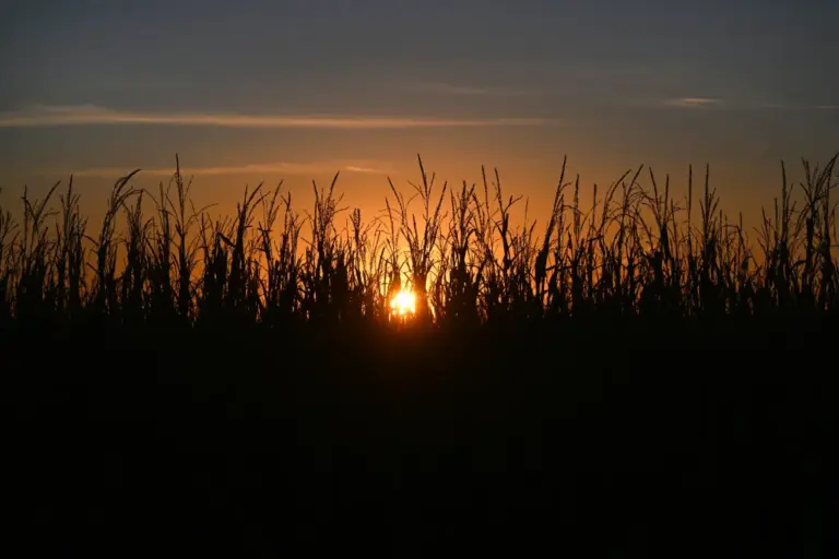 Colorado weather: Hottest day of 2026 so far to bring triple-digit heat to southeast state