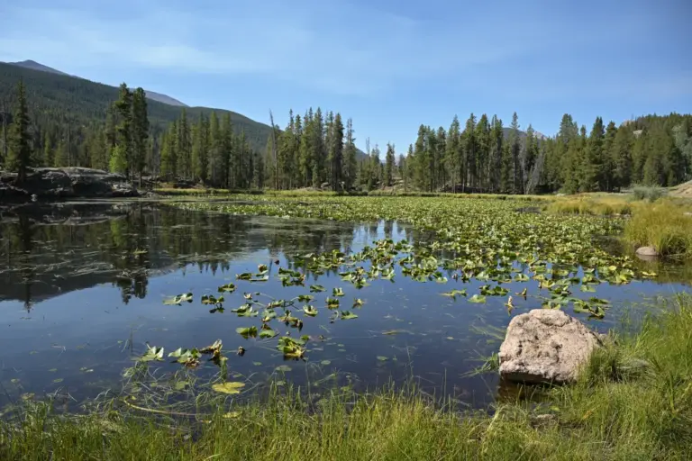 Forest service now charging $20 for dispersed camping in Homestake Valley