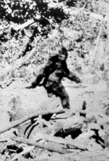 FILE--Photographers Roger Patterson and Bob Gimlin made this image Oct....