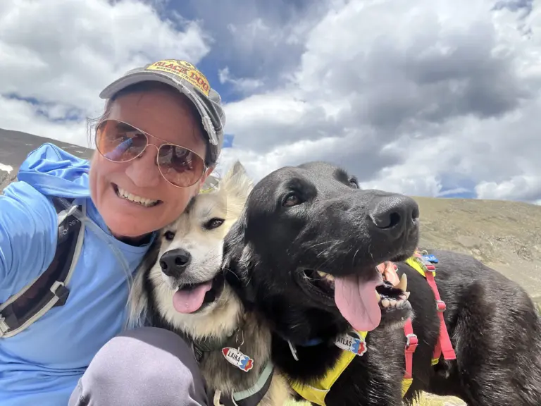 Dog rescued after 29 days on the run in Colorado mountains thanks to search and rescue group for pets