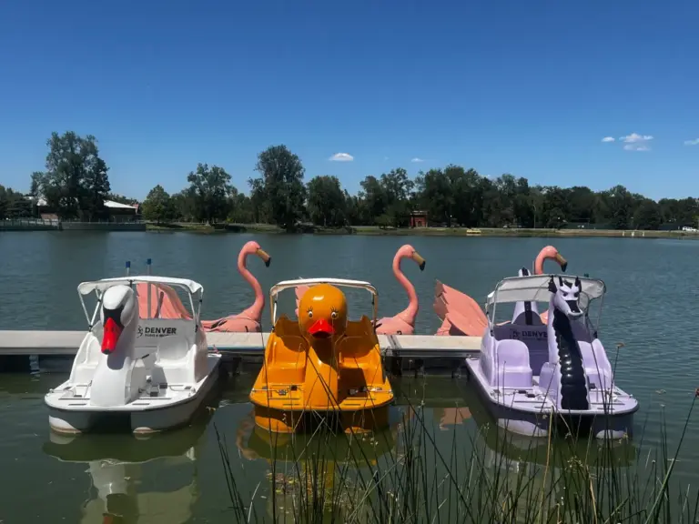 Swan, dragon and duck boats are back pedaling around City Park