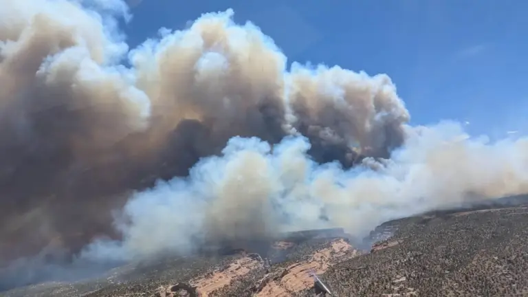 Helicopter tried to pick up firefighters before deadly burnover in western Colorado, preliminary report says