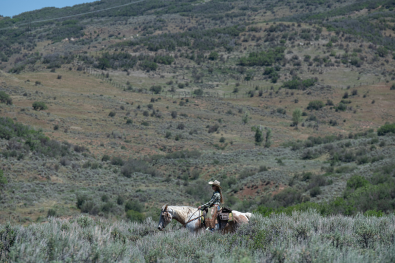 On the front lines of Colorado’s wolf reintroduction, a range rider aims to keep the peace