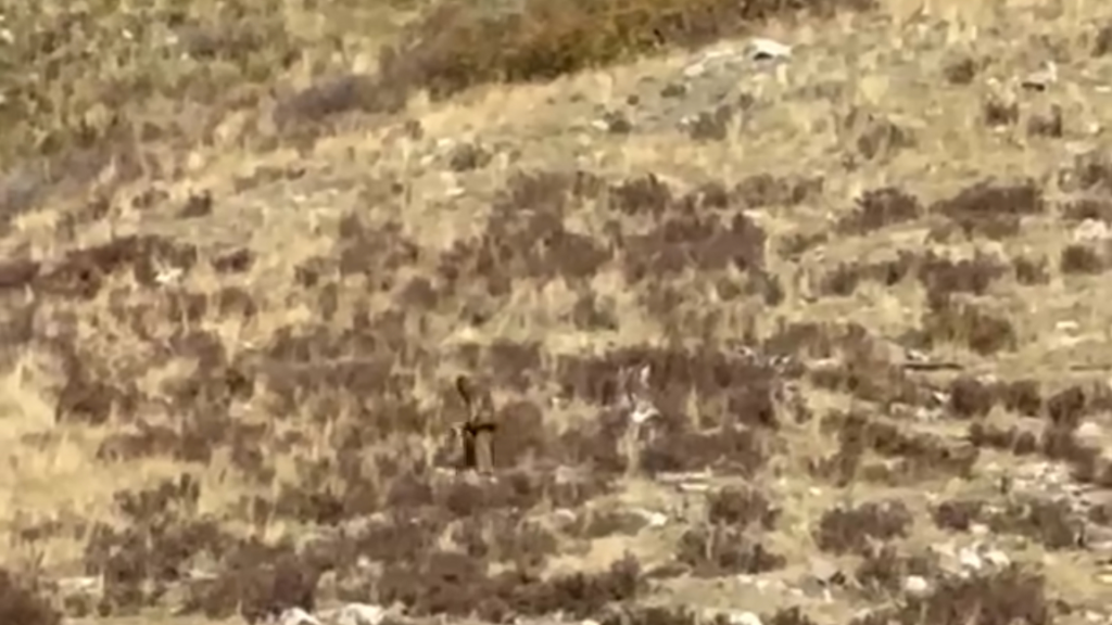 A still image from a video shot in Durango on...