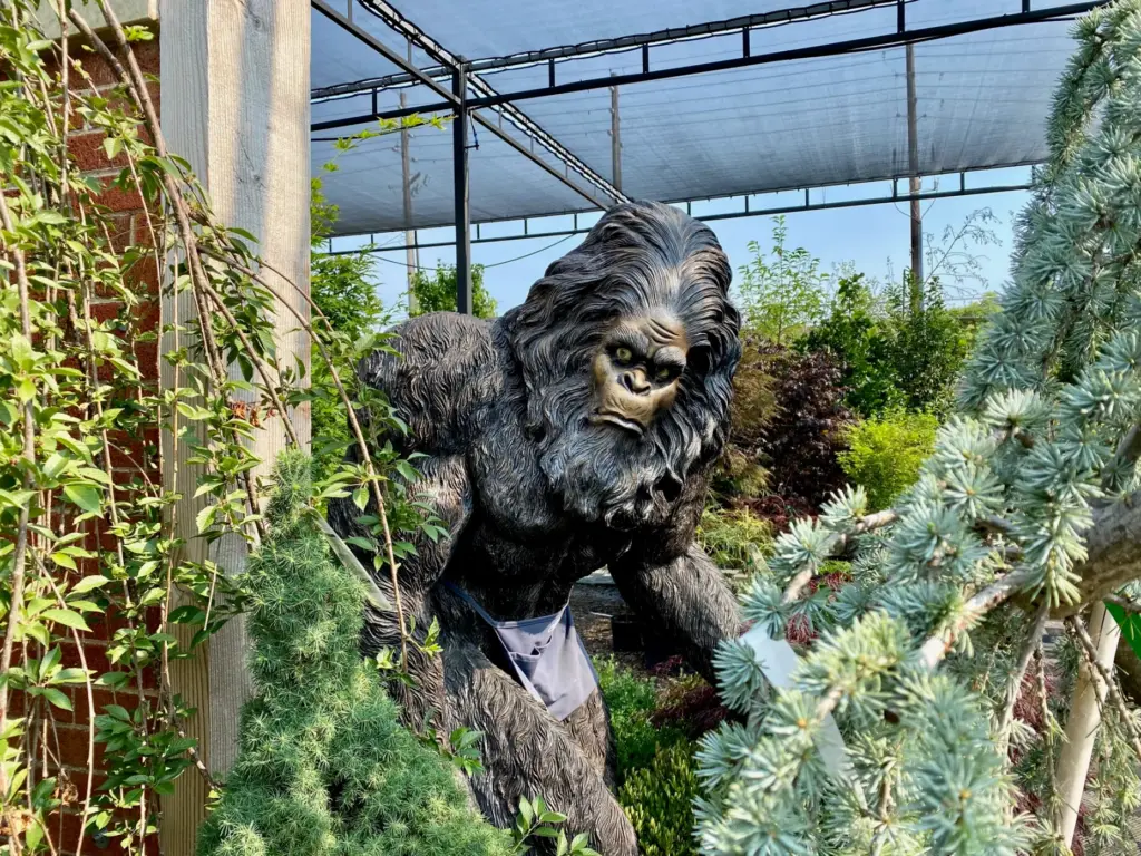A Bigfoot statue peaks out from behind a corner at...