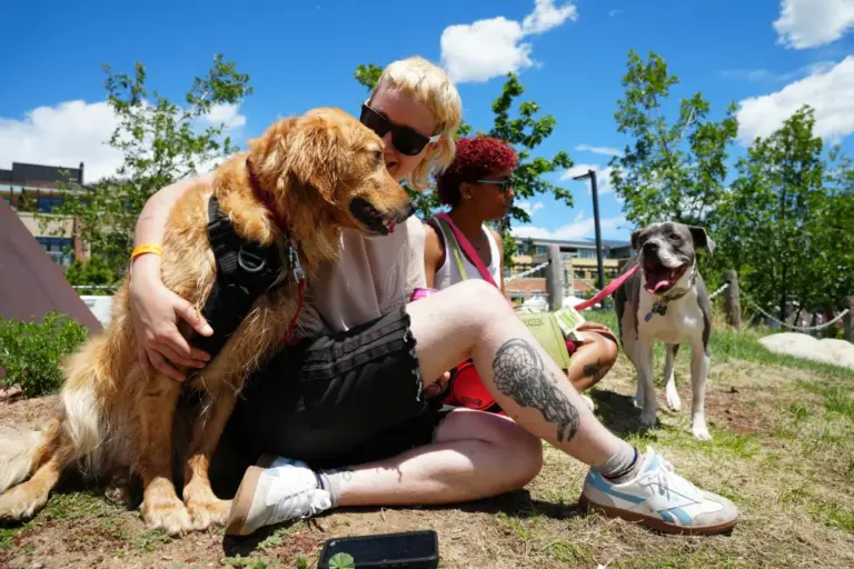 Is it safe for dogs to be outside on smoky days? Colorado researcher hunts for answers.