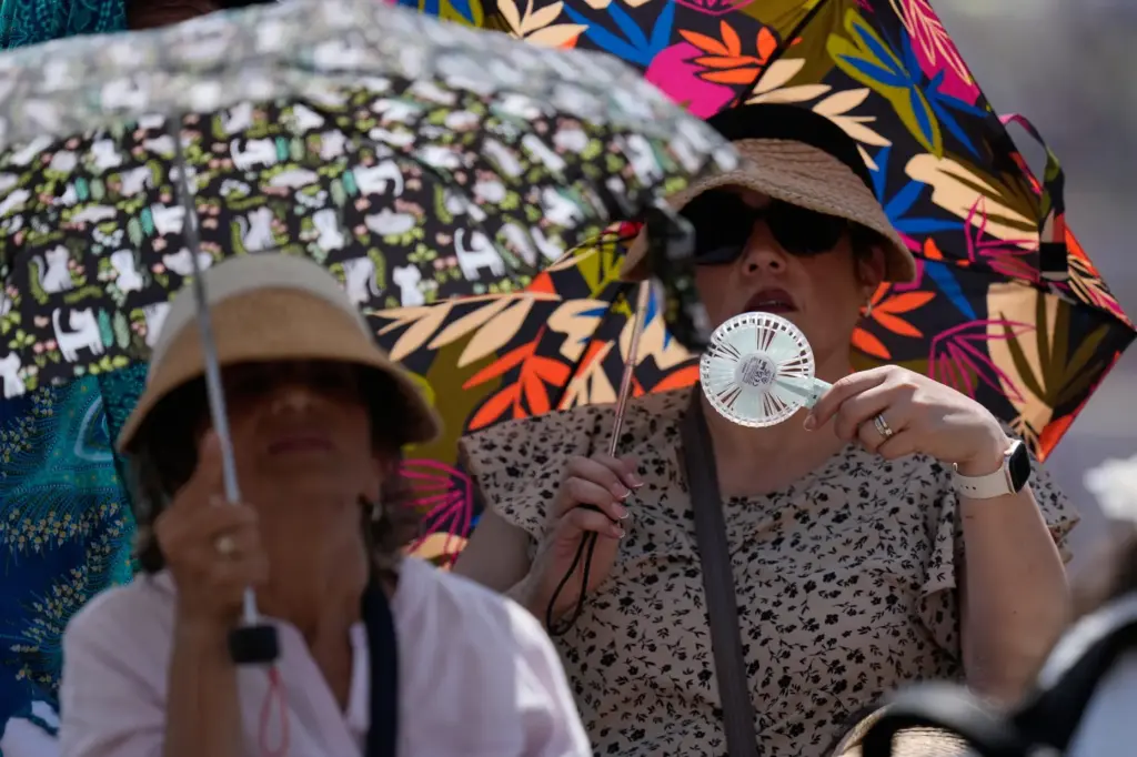 Faithful shelter from the hot sun as Pope Leo's XIV arrives for his weekly general audience.