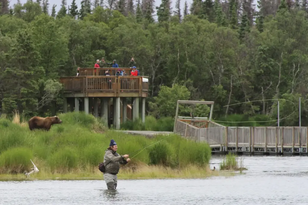 FILE – A bear walks between a viewing stand and...