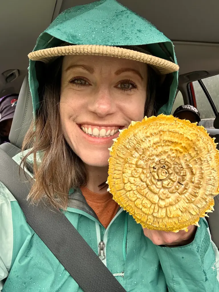 This was my favorite find discovery on my first mushroom...